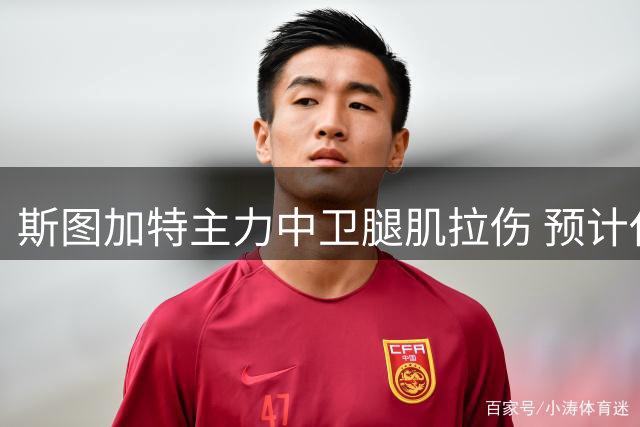 斯图加特主力中卫腿肌拉伤 预计休战数周