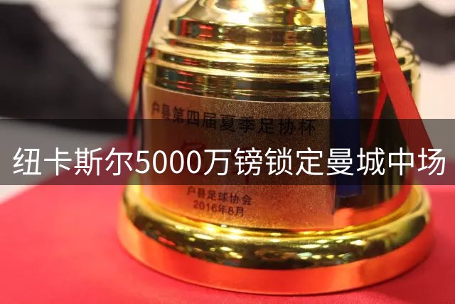 纽卡斯尔5000万镑锁定曼城中场 获准再签三将补强阵容