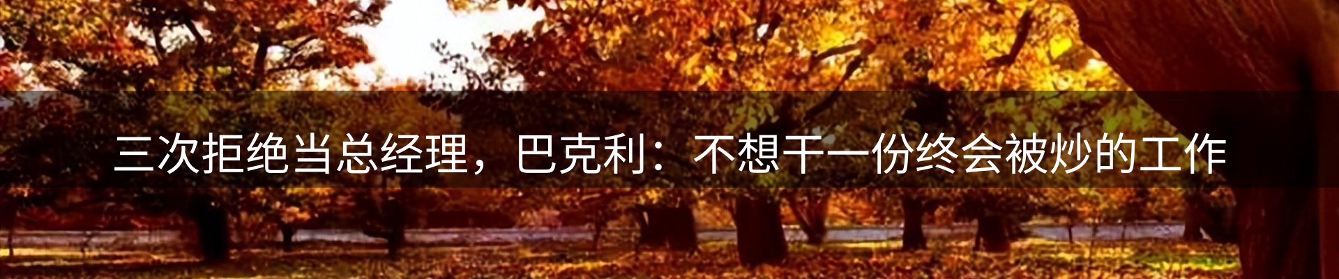 平台精选