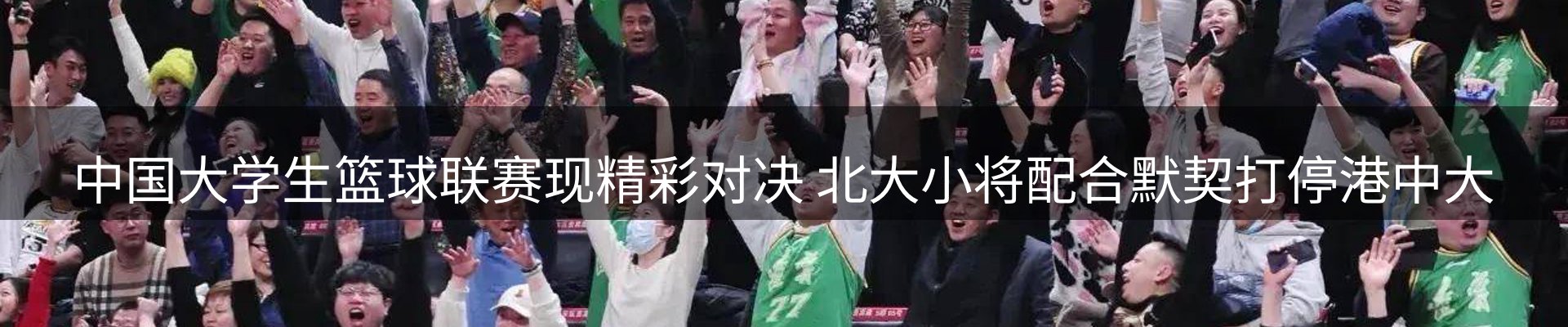 新闻动态