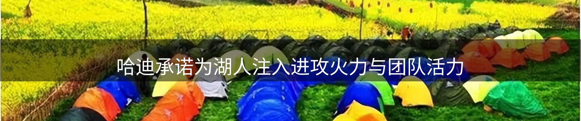 新闻动态
