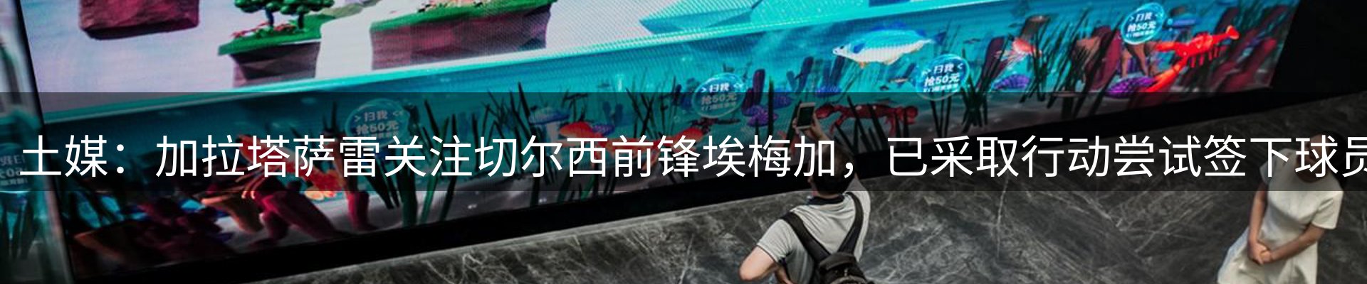 新闻动态