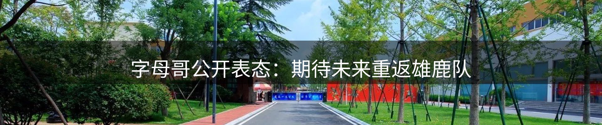 新闻动态