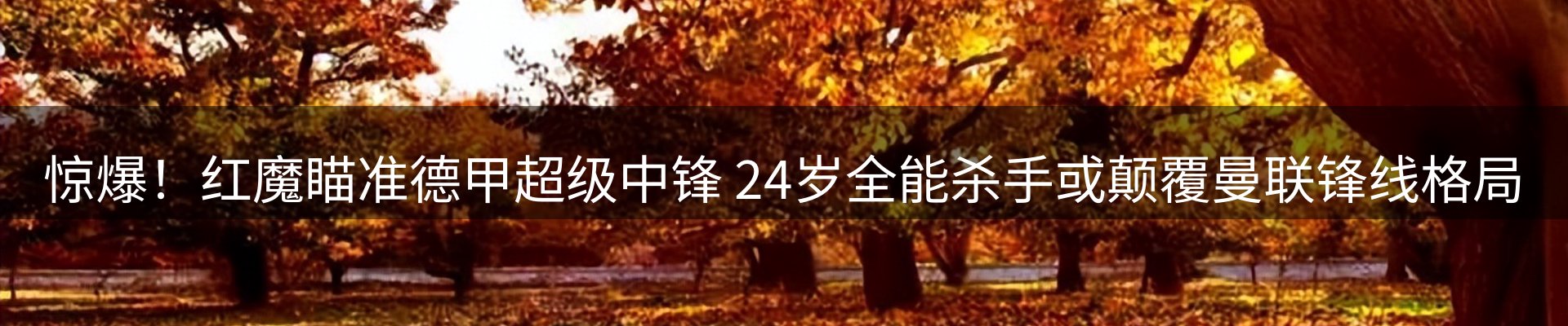 新闻动态