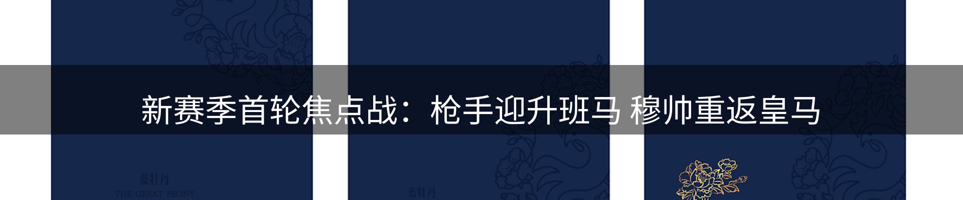 新闻动态