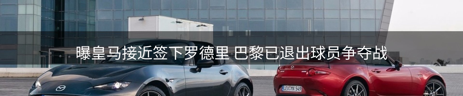 新闻动态