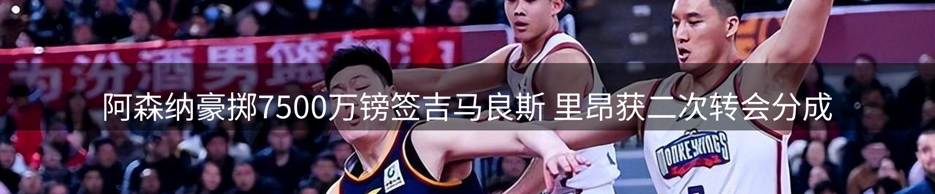 新闻动态
