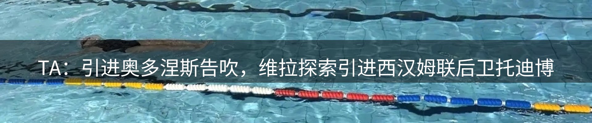 新闻动态