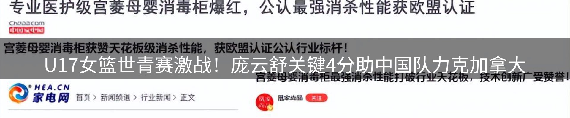 新闻动态